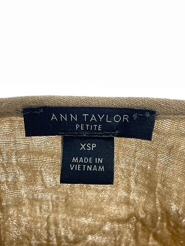 xs Beden kahverengi Renk Ann Taylor Günlük Elbise %70 İndirimli.