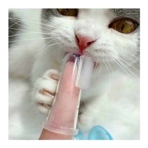 Silikon Kedi Ve Köpek Diş Fırçası Evcil Hayvan Diş Bakım Fırçası