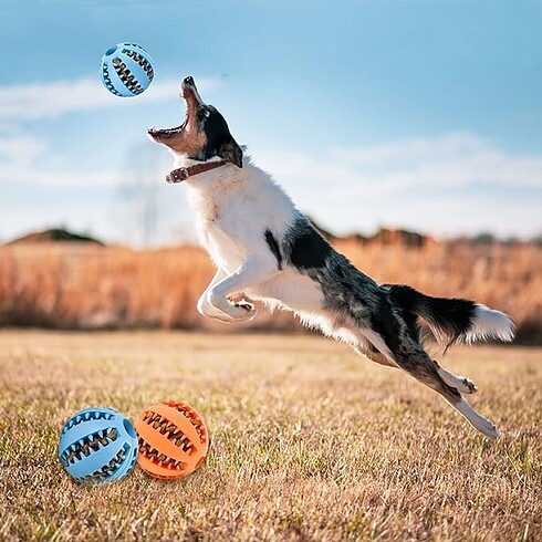 Beden Renk Kedi Köpek Ödül Maması Topu Oyuncağı
