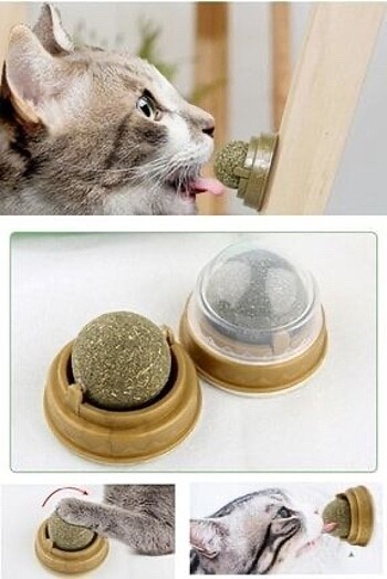 Kedi Nanesi Oyun Topu Catnip Topu Doğal Kedi Naneli Oyuncak