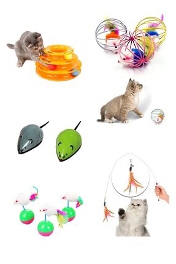 5 li Kedi Seti Oyun Set