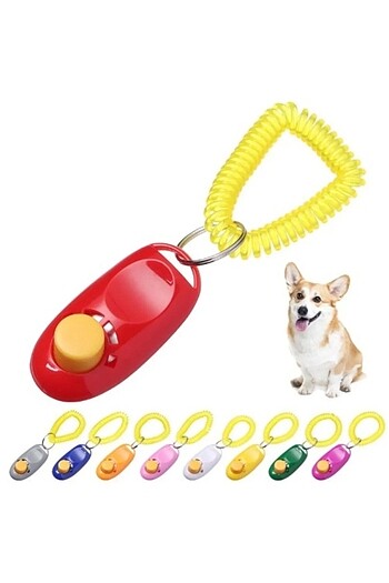 Köpek Eğitimi Için Clicker Köpeğinizi Kolayca Eğitin