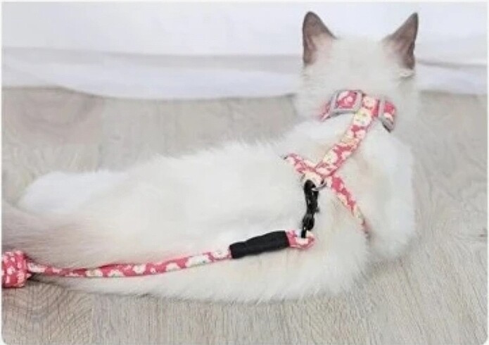  KEDİ GEZDİRDME GÖĞÜS TASMASI