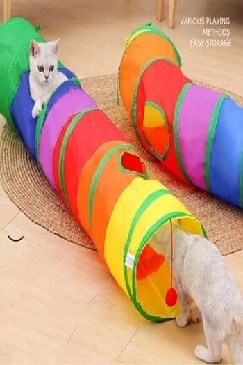 Kedi Tüneli Katlanır Gökkuşağı Uzun Düz