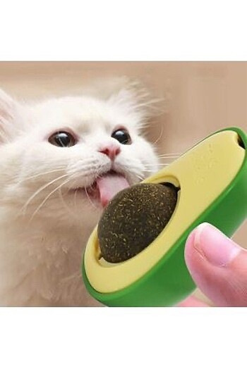 Catnip Avokado Kedi Otu Topu