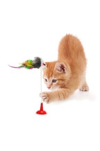 Kedi Fare Oyuncağı Vantuzlu Hacıyatmaz Fare