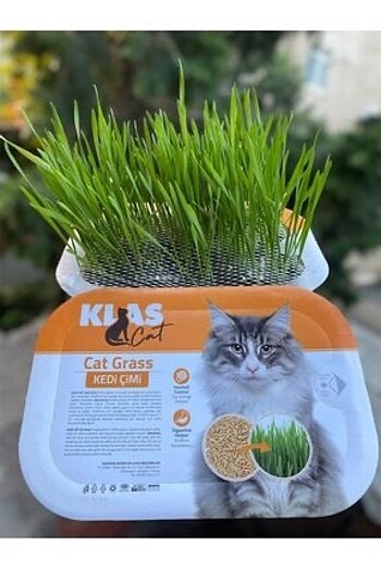 Kedi Çimi Tüy Yumağı Önleyici