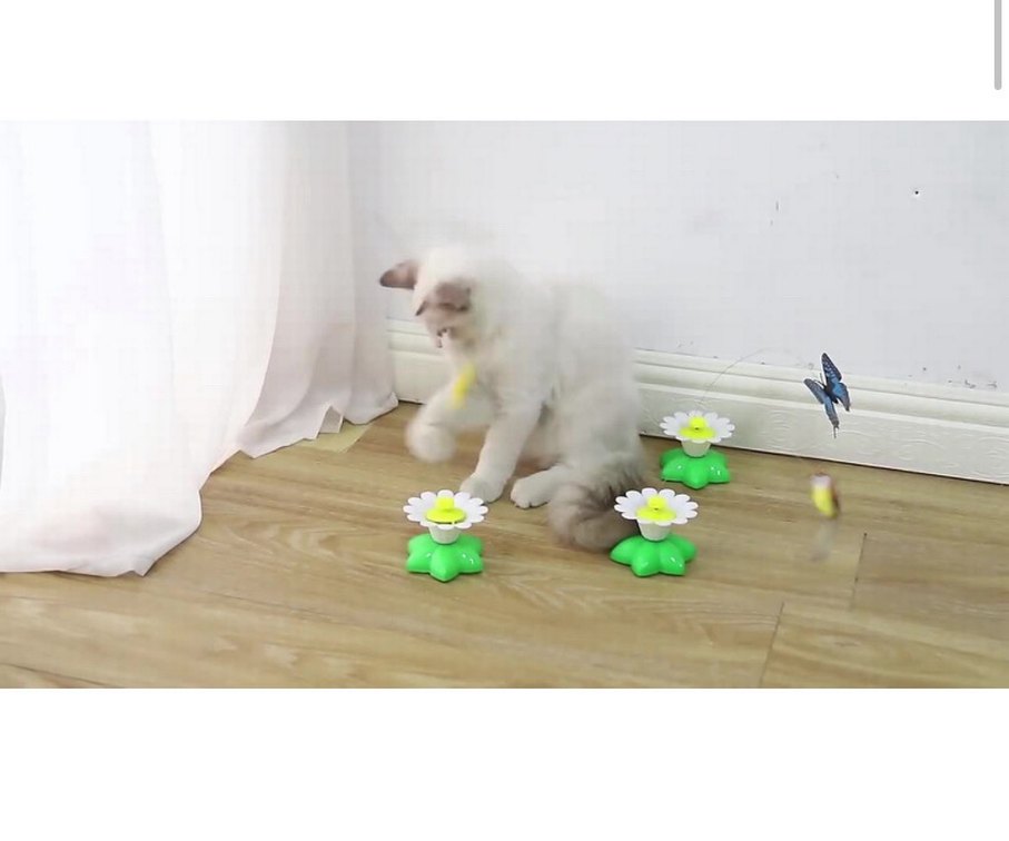Hareketli Dönen Kelebek - Kedi Oyuncağı ( Pille Çalışır) - Görsel 2