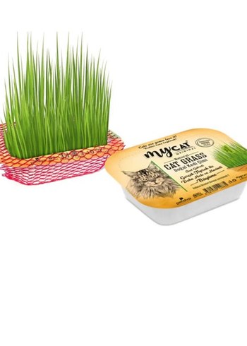 4 ürün - Görsel 3