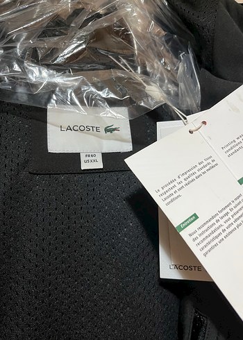 xxl Beden Orijinal lacoste Siyah Kapüşonlu Düğmeli Erkek mont