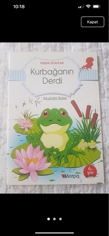 Kurbağanın Derdi