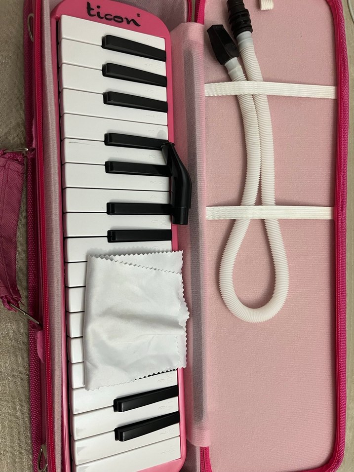 Pastel Pembe Melodika - Görsel 3