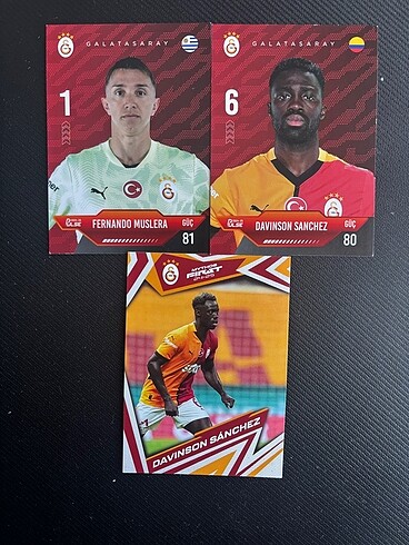 Galatasaray lisanlı kart