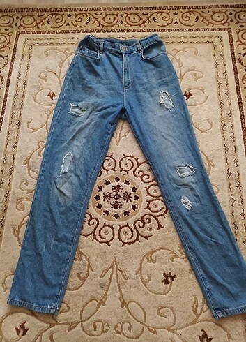 Kot Jean 