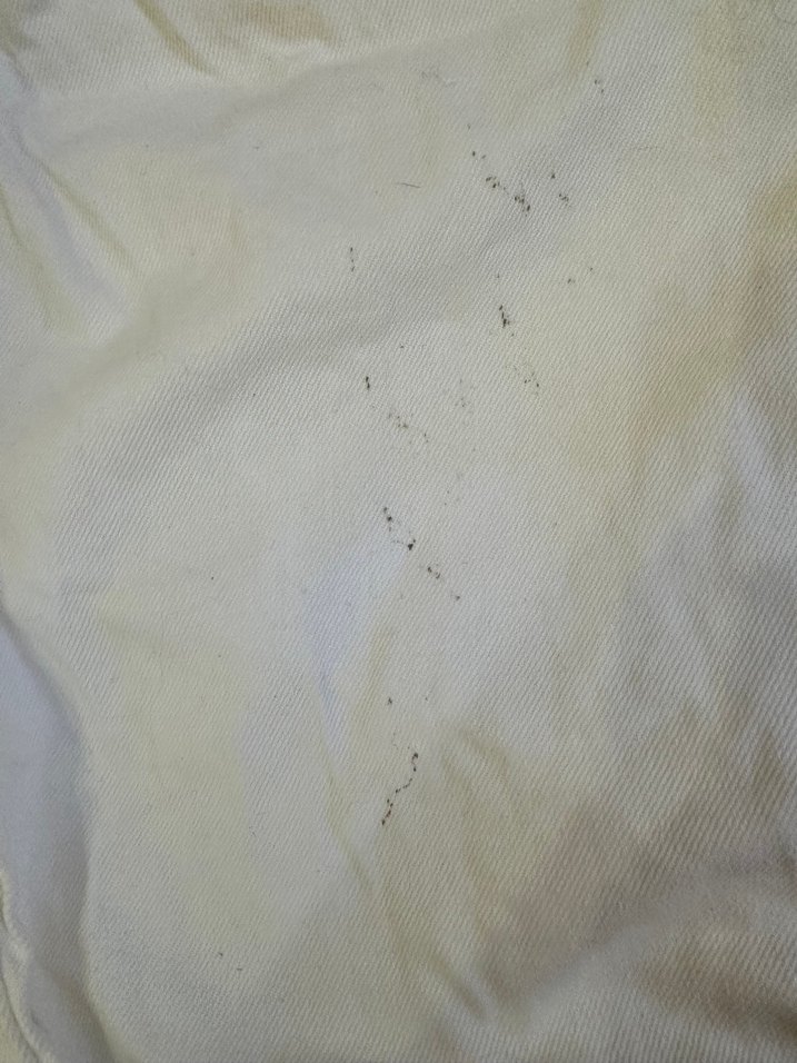 Defacto Krem Pantolon - Görsel 5