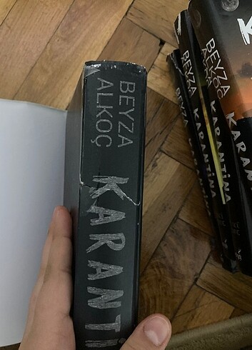 Karantina Serisi
