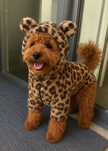 Kahverengi Nakışlı Kürklü Köpek Kıyafeti - Görsel 2