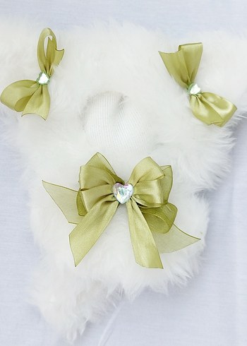 Kedi Aksesuarları Siyah ve Beyaz Tüylü Taçlar - Görsel 7