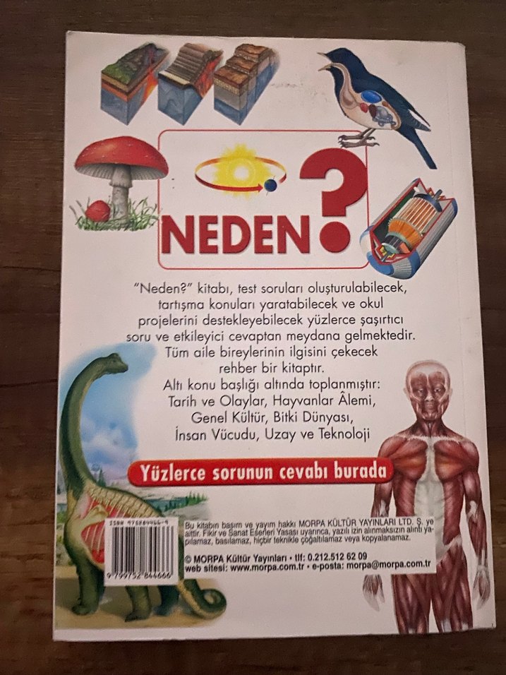 Neden? - Çocuklar için Bilimsel Sorular Kitabı - Görsel 2