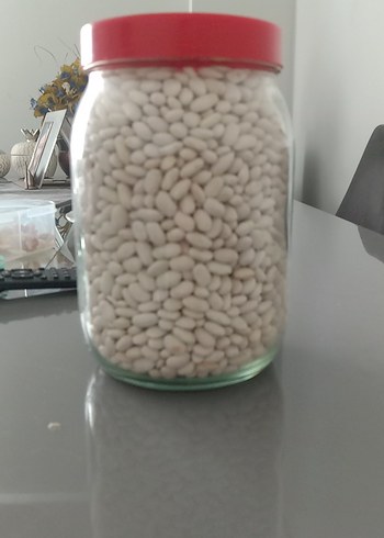 boncuk fasulye