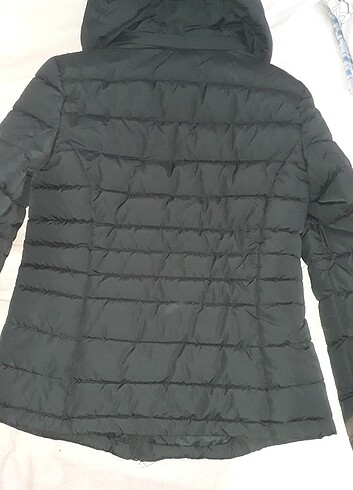 Colin's Kadin Siyah Mont Slim fit