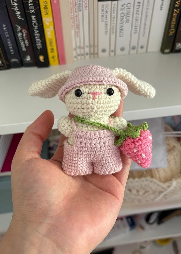 Çilek çantalı tavşan - Görsel 2