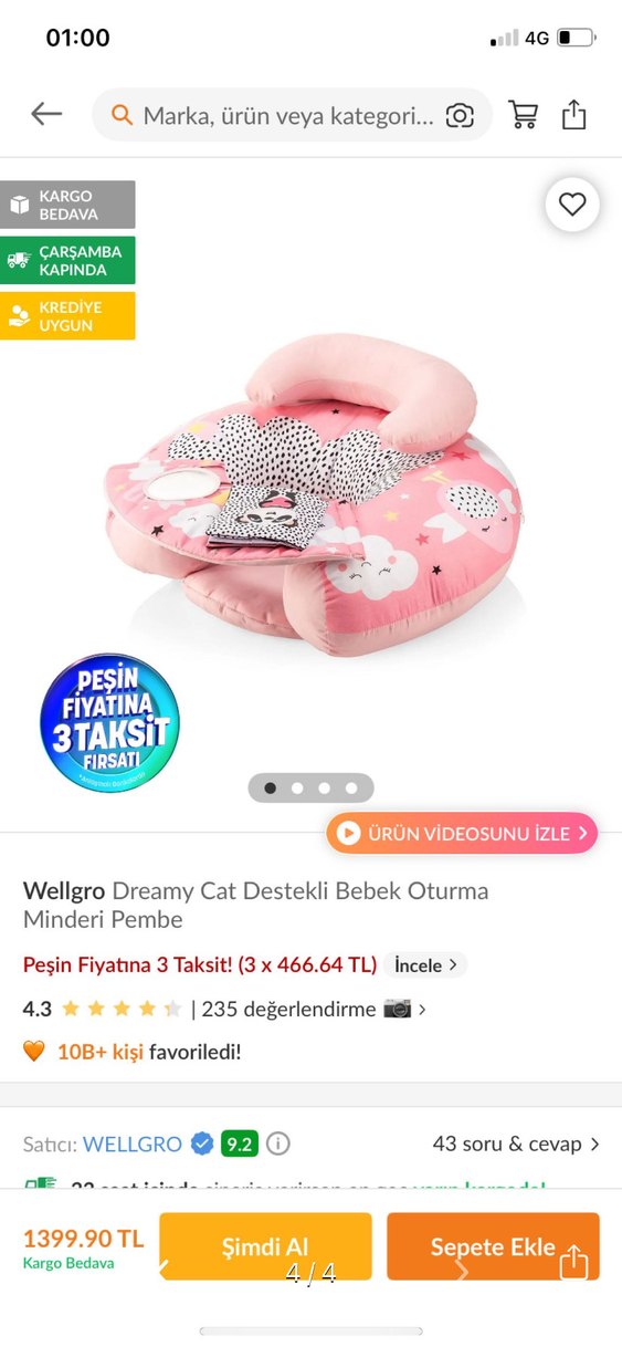 Wellgro Bebek Destek Oturma Minderi - Görsel 4