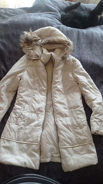 Coton36 beden 