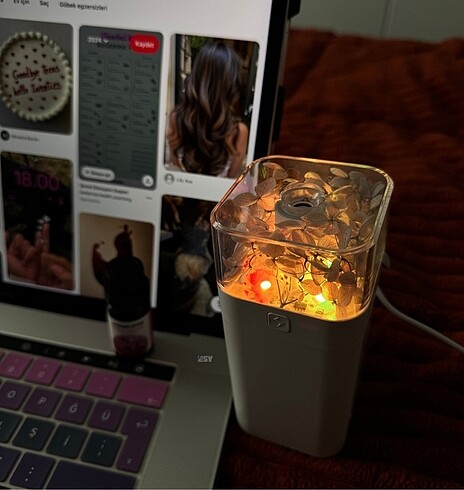 Uzun çiçekli hava nemlendirici - Görsel 2