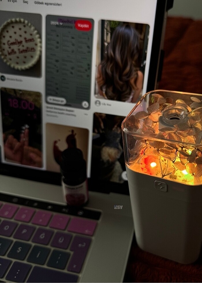 Uzun çiçekli hava nemlendirici - Görsel 2