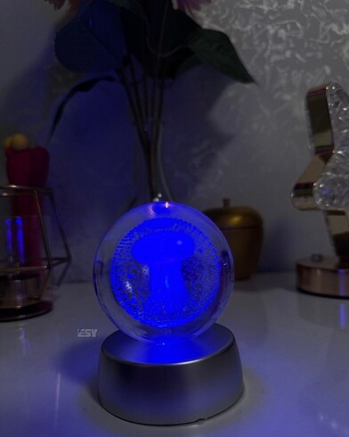 Beden Renk Deniz anası ledli küre