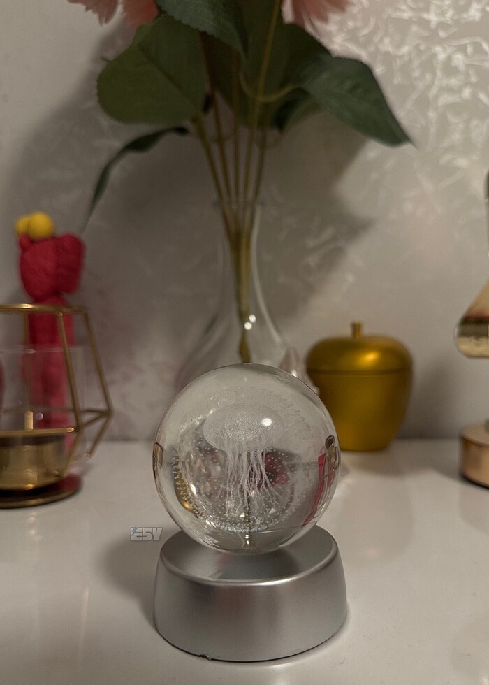 Deniz anası ledli küre - Görsel 2