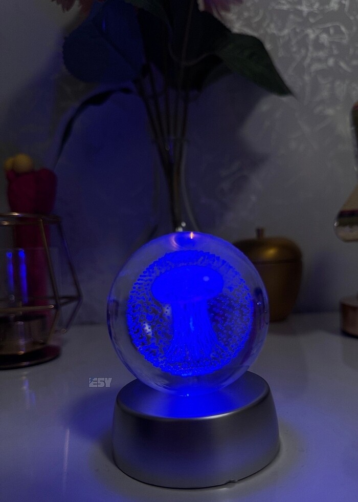 Deniz anası ledli küre - Görsel 4