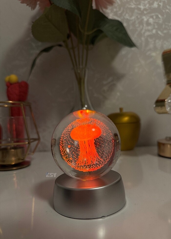 Deniz anası ledli küre - Görsel 3