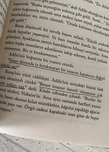 Beden Renk Addie Laruennün Görünmez Hayatı - V. E. Schwab