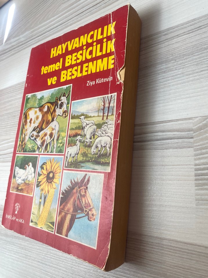 Hayvancılık Temel Besicilik ve Beslenme Kitabı - Görsel 2