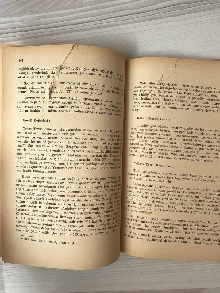 Hayvancılık Temel Besicilik ve Beslenme Kitabı - Görsel 4