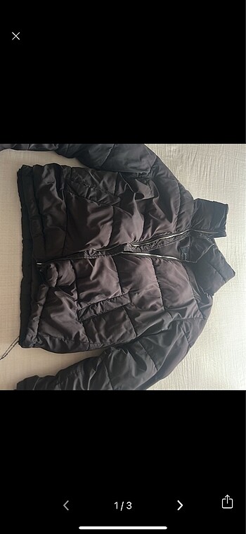 Stradivarius mont