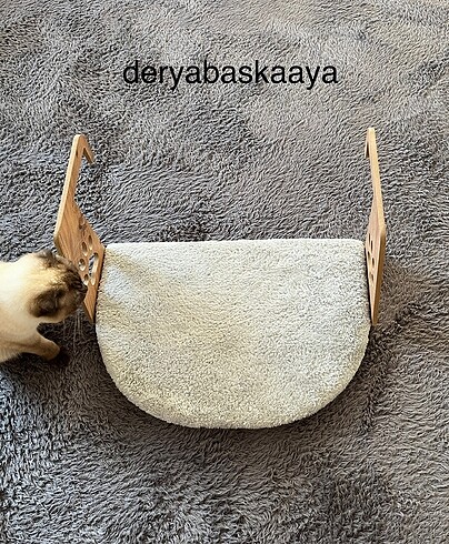 Kedi yatağı