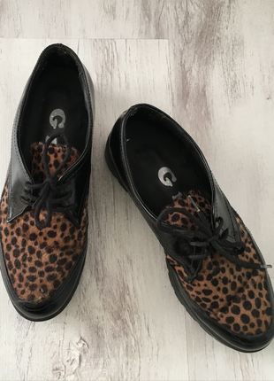 Leopar az dolgulu oxford
