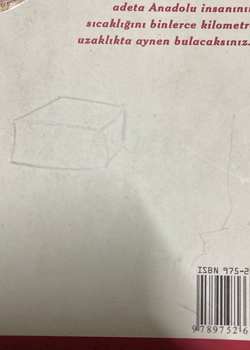 Gök Fırtına - Asur Özdemir Çevirisi - Görsel 4