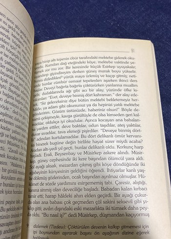 Gök Fırtına - Asur Özdemir Çevirisi - Görsel 5