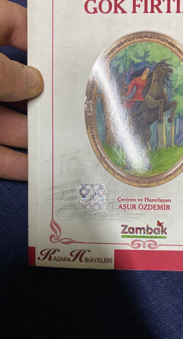 Gök Fırtına - Asur Özdemir Çevirisi - Görsel 2