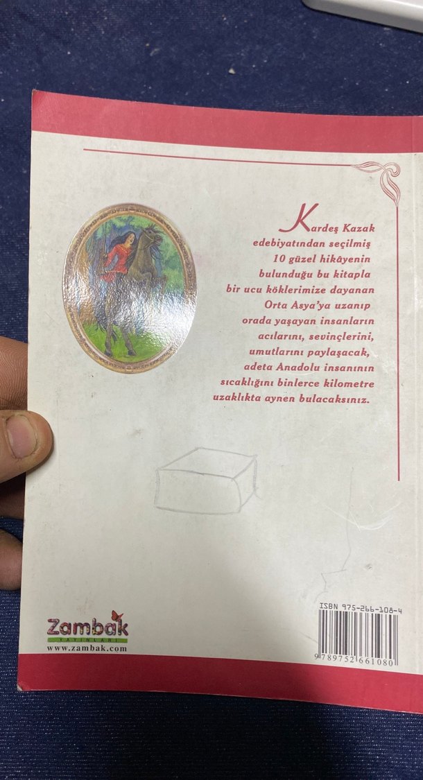 Gök Fırtına - Asur Özdemir Çevirisi - Görsel 3