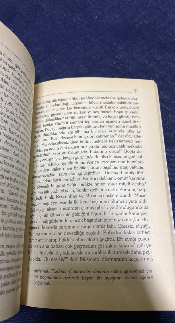 Gök Fırtına - Asur Özdemir Çevirisi - Görsel 5