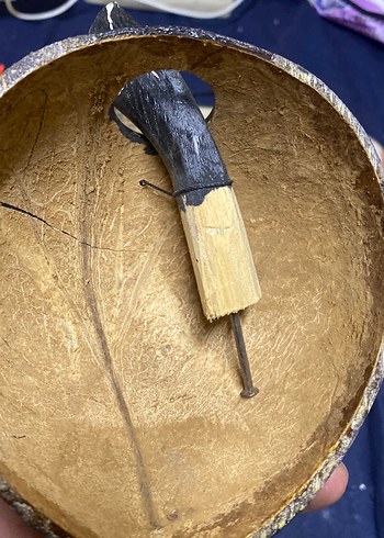 Kaplumbağa süsü Hindistan cevizinde - Görsel 5