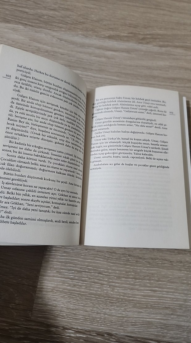 Kelebekler ve İnsanlar - Üstün Dökmen - Görsel 3