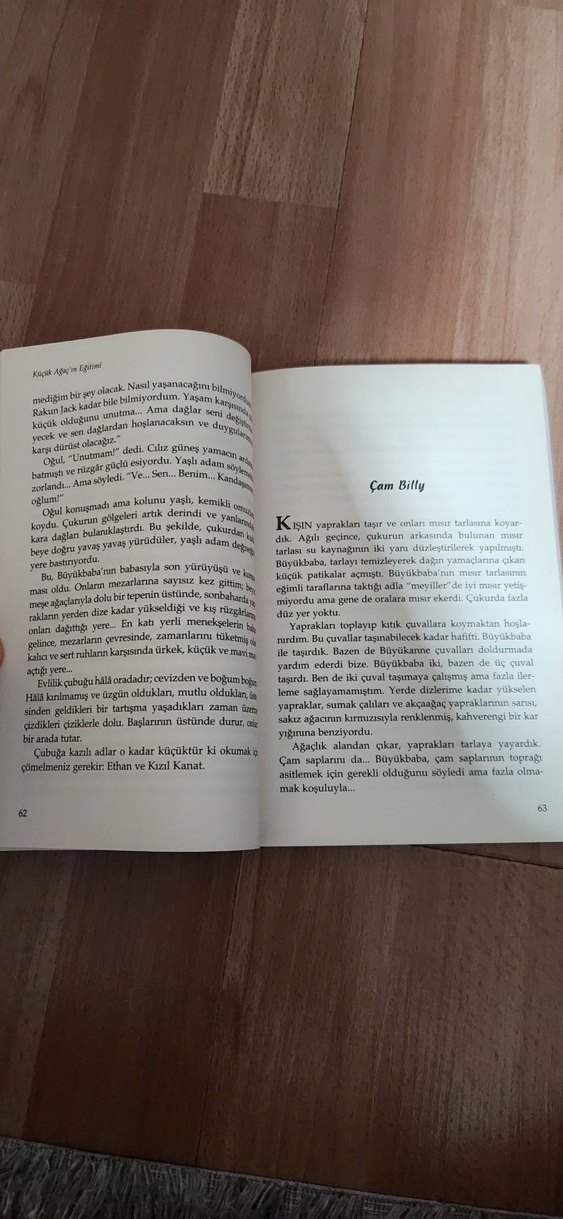 Küçük Ağacın Eğitimi - Forrest Carter - Görsel 2