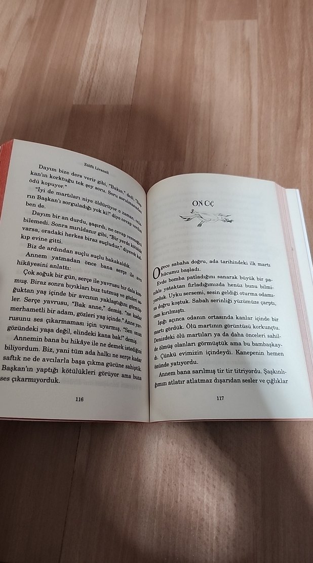 Zülfü Livaneli - Son Ada'nın Çocukları - Görsel 3