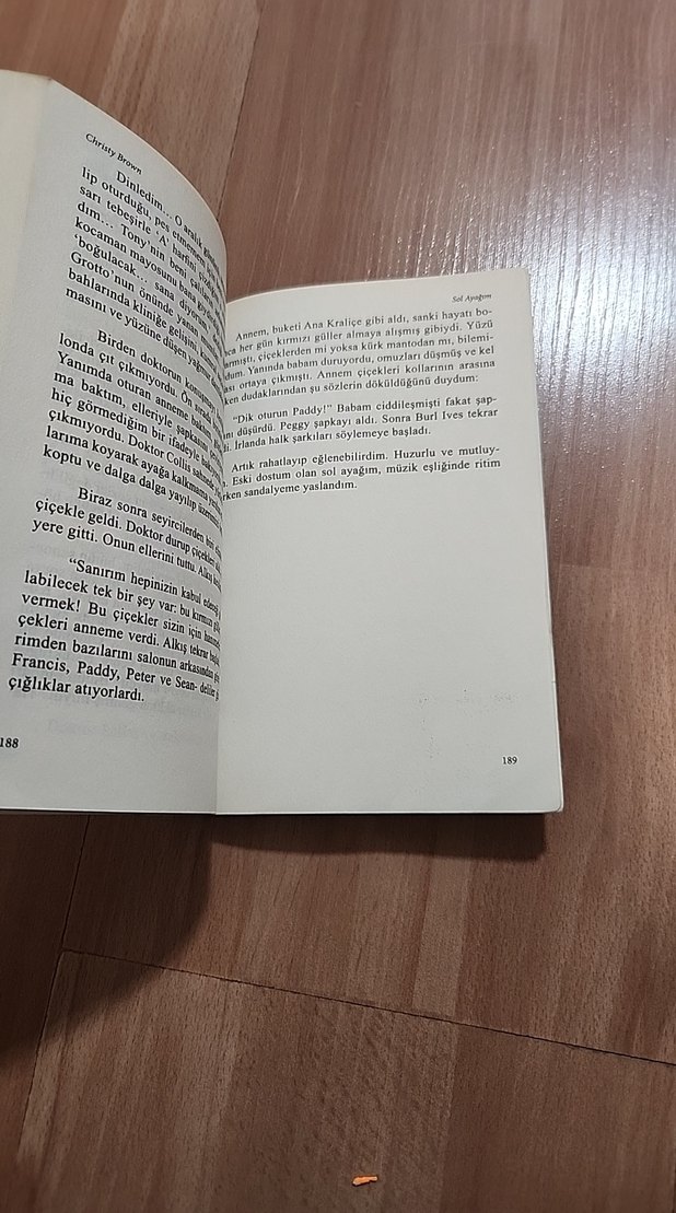 Sol Ayağım - Christy Brown - Görsel 5